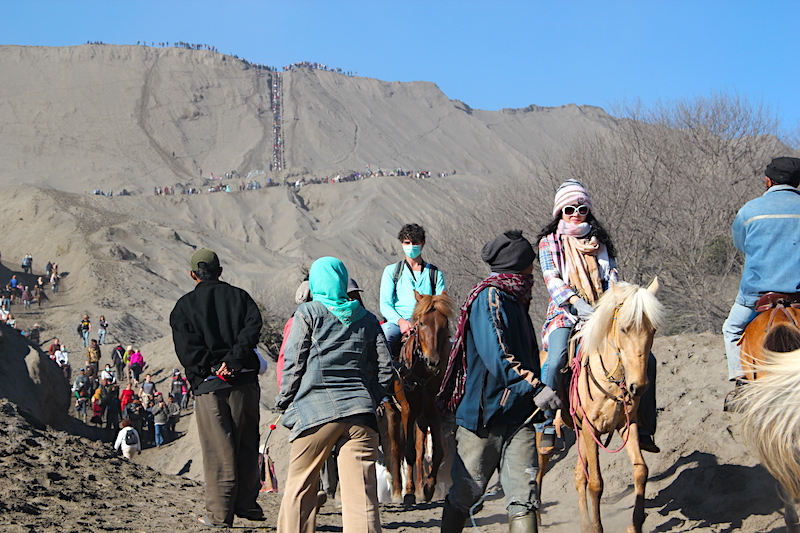 Bromo Riding Horse Bali Tour