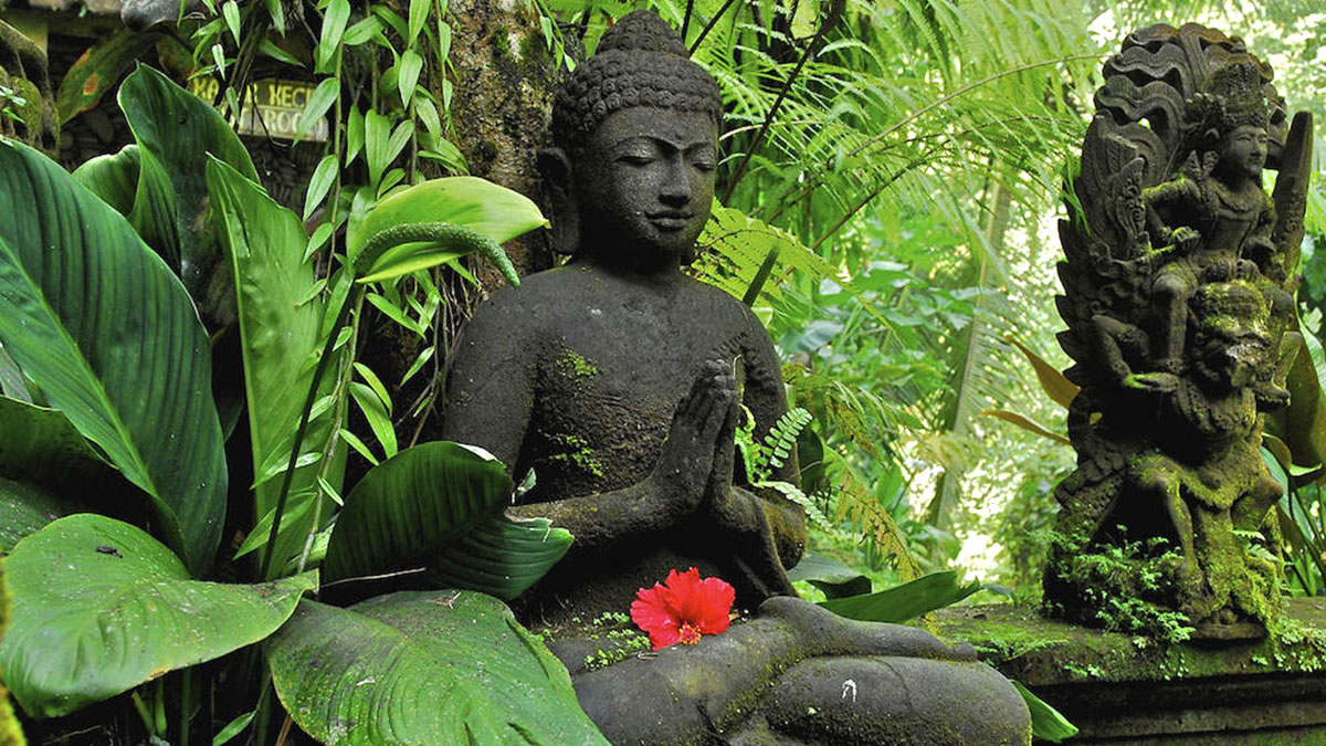 Ubud Bali Tour Indonesia