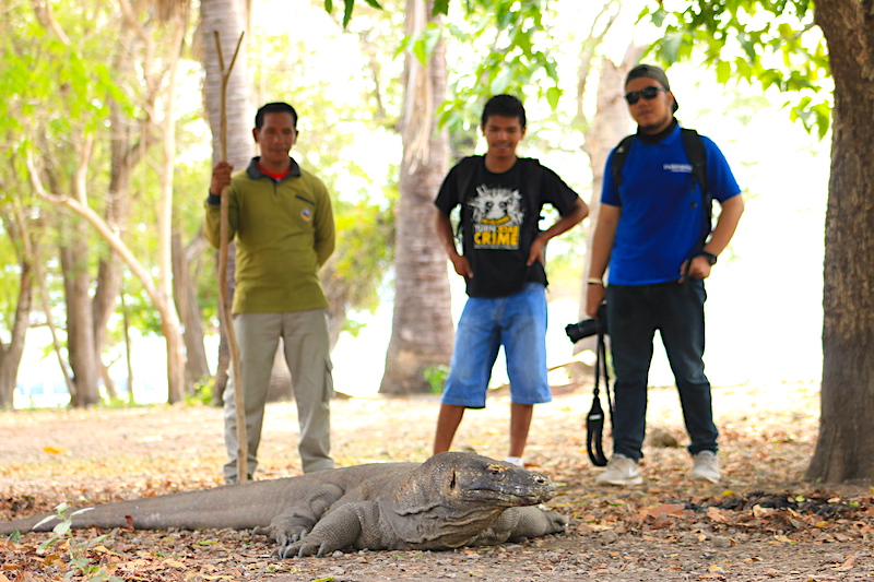 Komodo Island