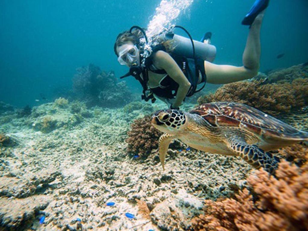 Gili Trawangan Snorkeling