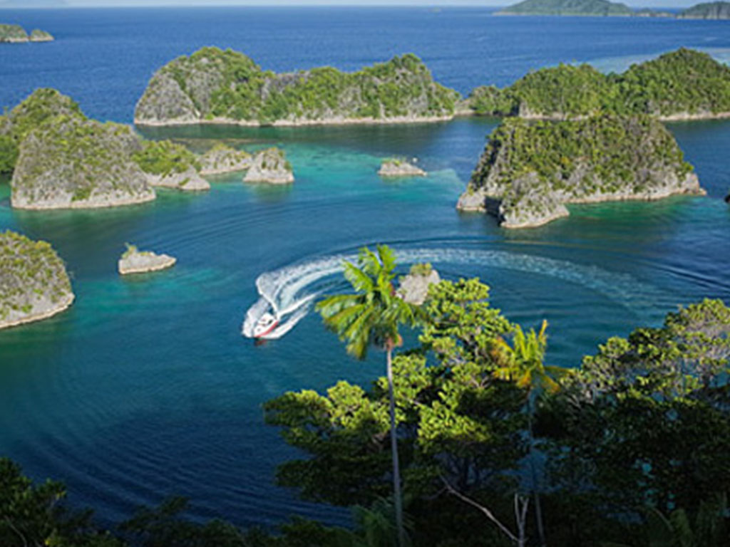 raja ampat gallery balitour10