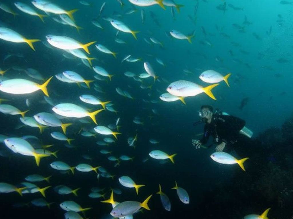 raja ampat gallery balitour11