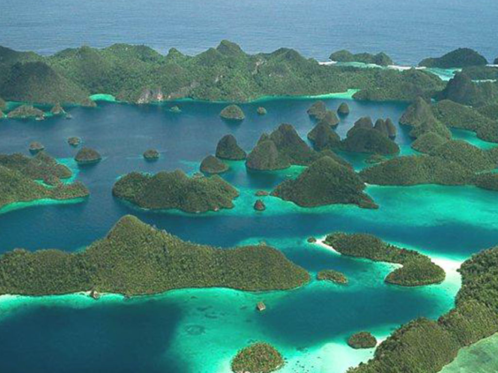 raja ampat gallery balitour6