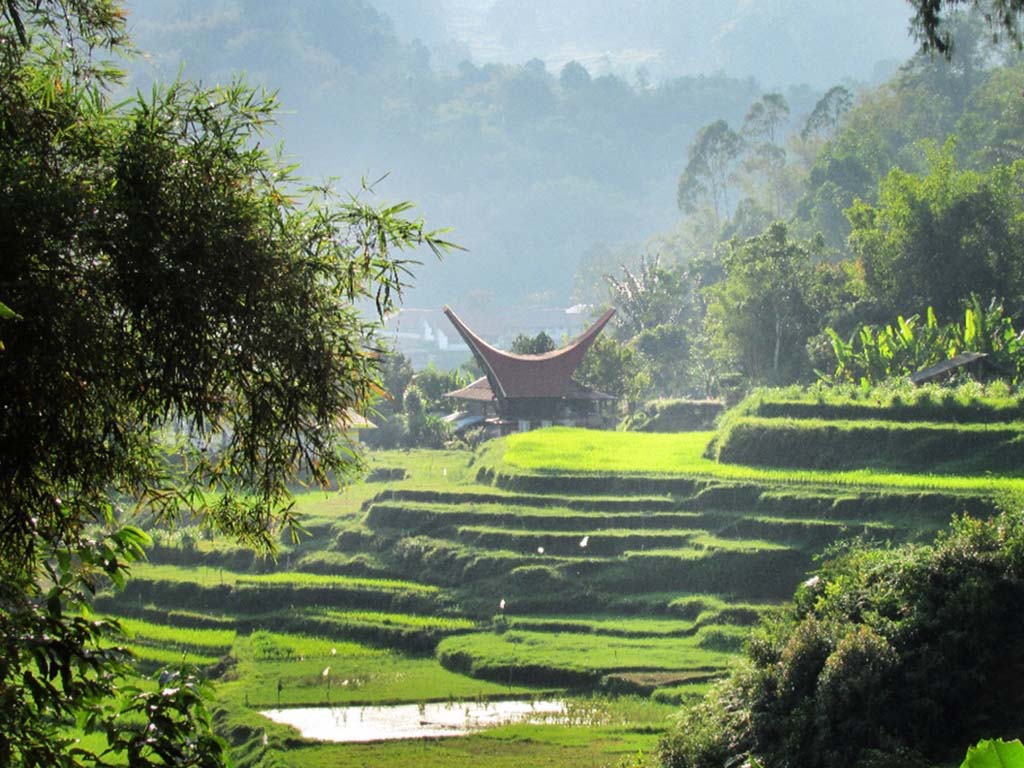 Visit Tana Toraja: Unique Cultural Attractions in South Sulawesi