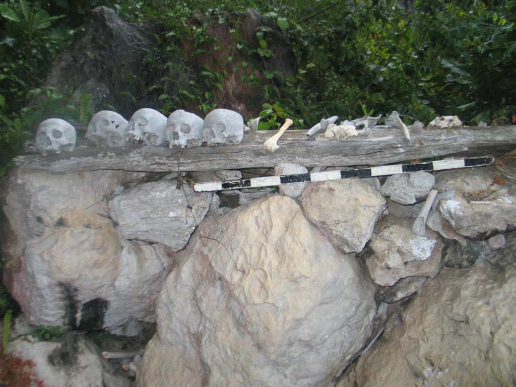 Tana Toraja: Culture Shock and Breathtaking Views