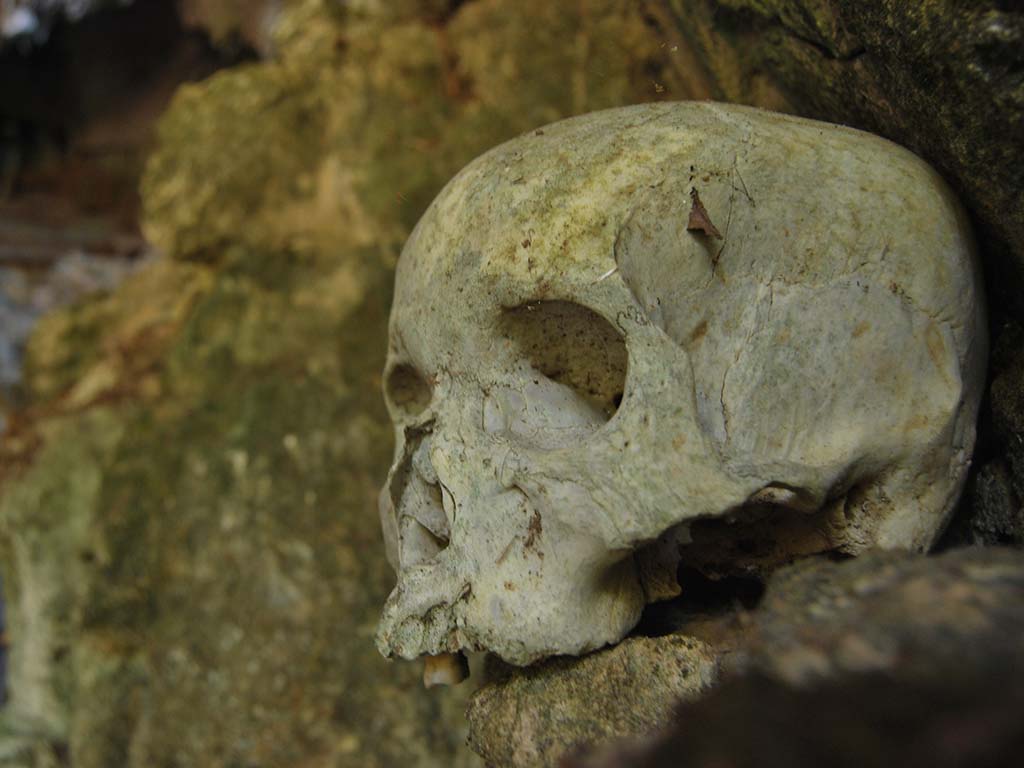 Why Tana Toraja is Indonesia's Most Mysterious Cultural Destination