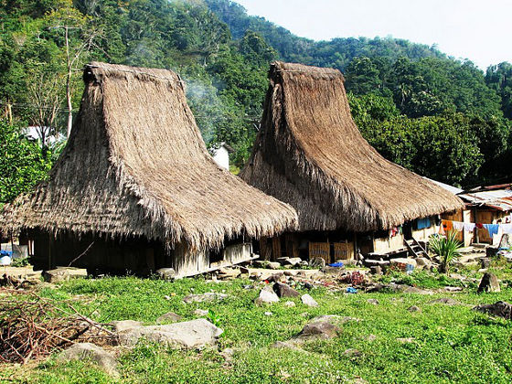 Traditional Village