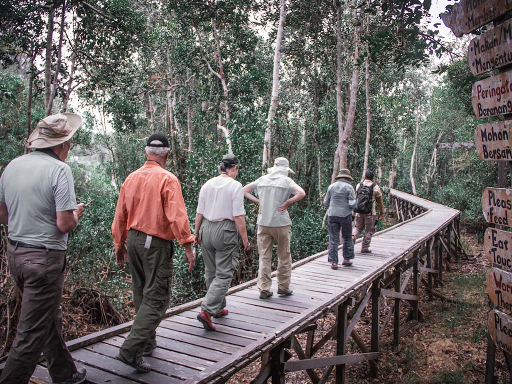 Orang Utan Photography By Bali Tour