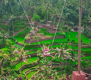 Real Bali Swing Bali Tour